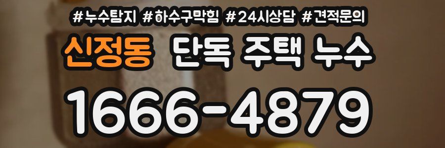 신정동 단독 주택 누수