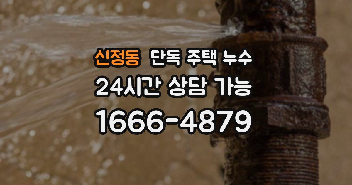 신정동 단독 주택 누수