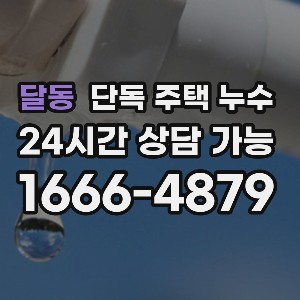 달동 단독 주택 누수