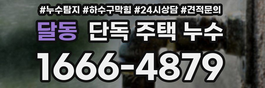 달동 단독 주택 누수