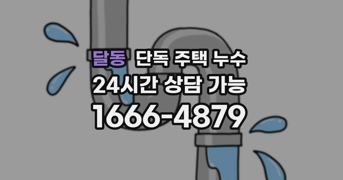 달동 단독 주택 누수