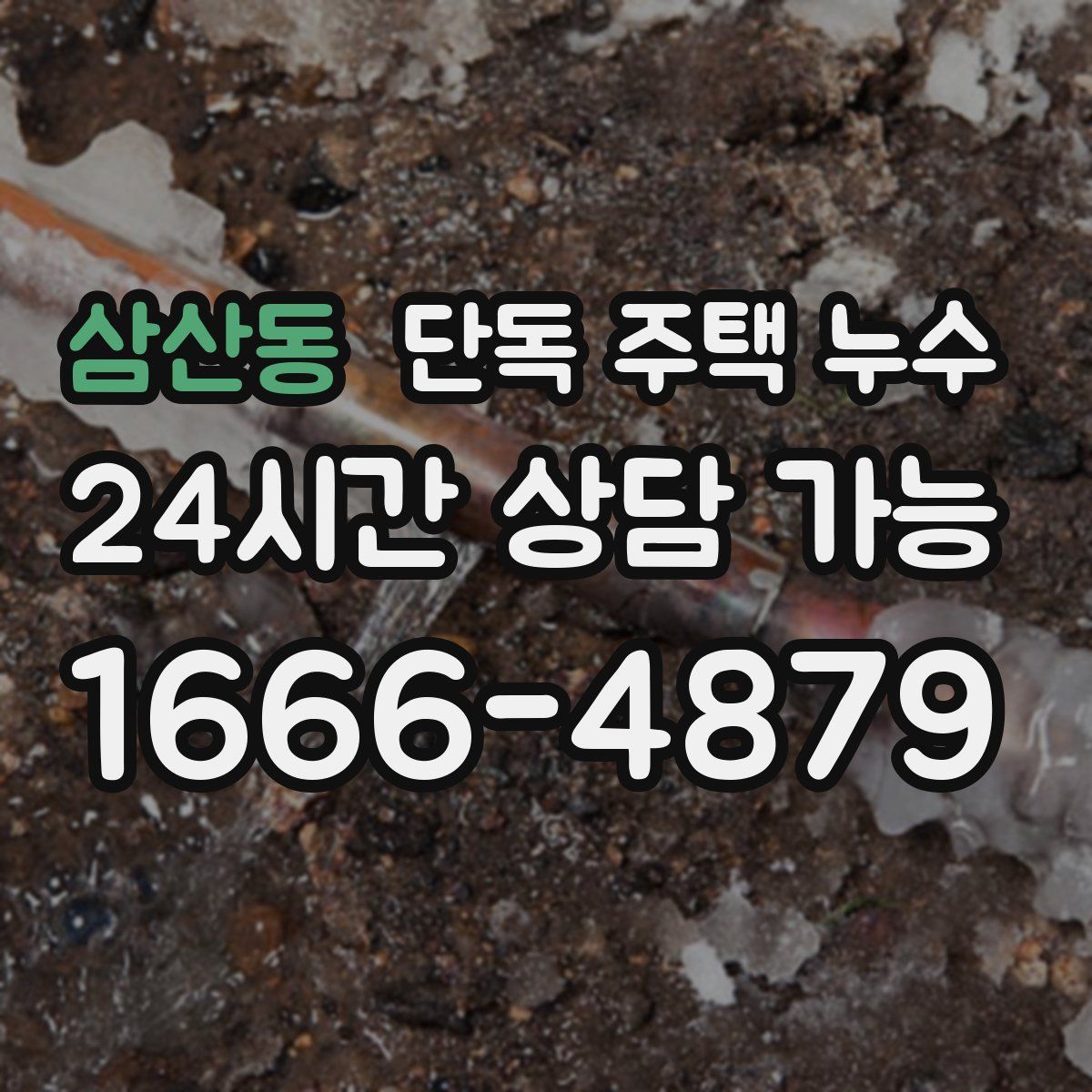 삼산동 단독 주택 누수