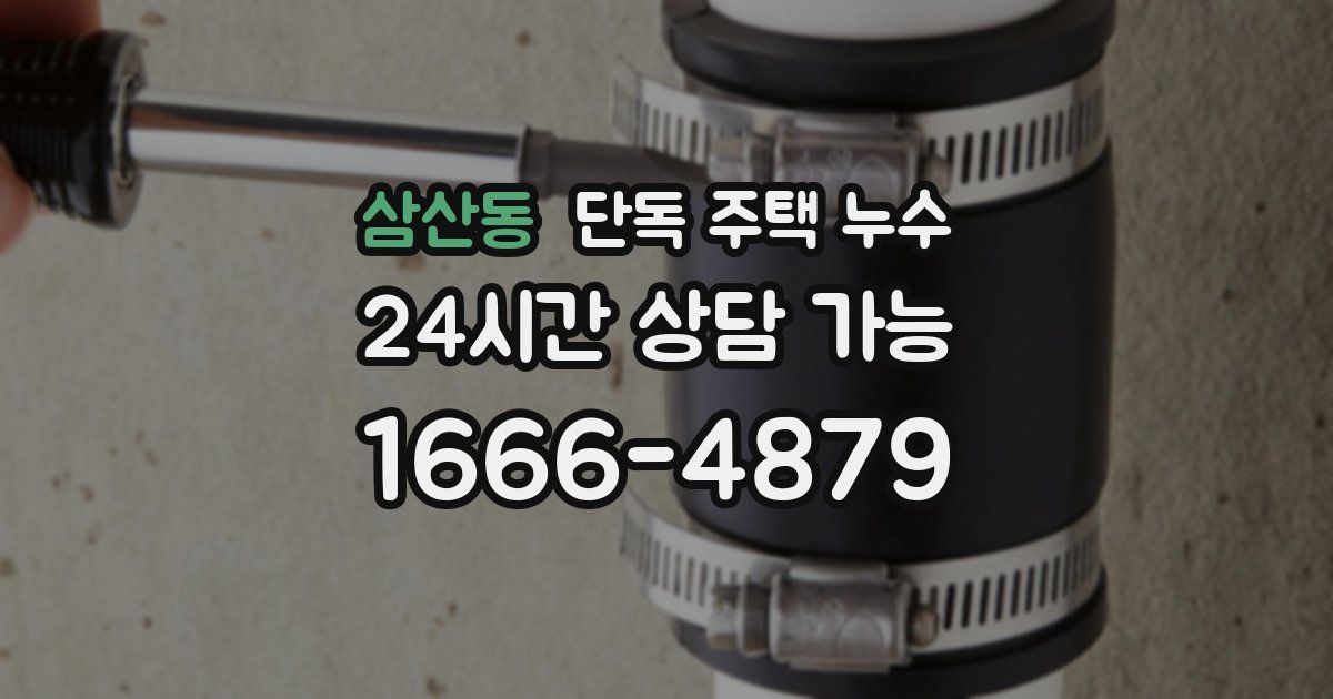 삼산동 단독 주택 누수