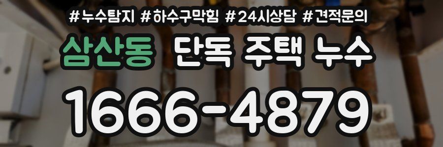 삼산동 단독 주택 누수