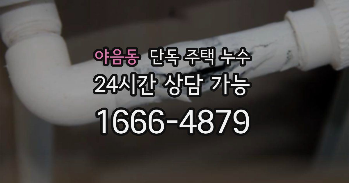 야음동 단독 주택 누수