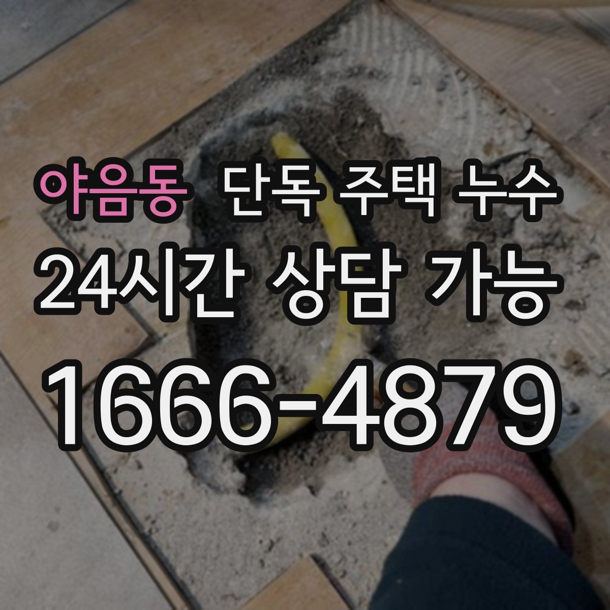 야음동 단독 주택 누수