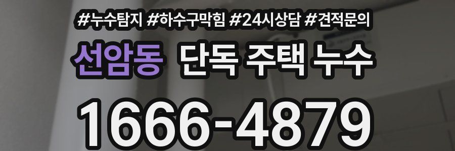 선암동 단독 주택 누수