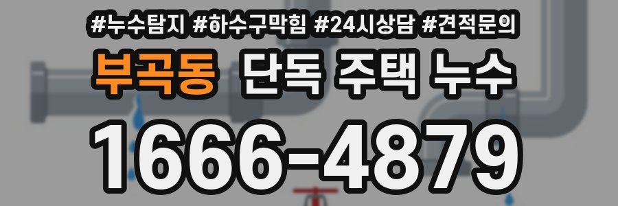 부곡동 단독 주택 누수