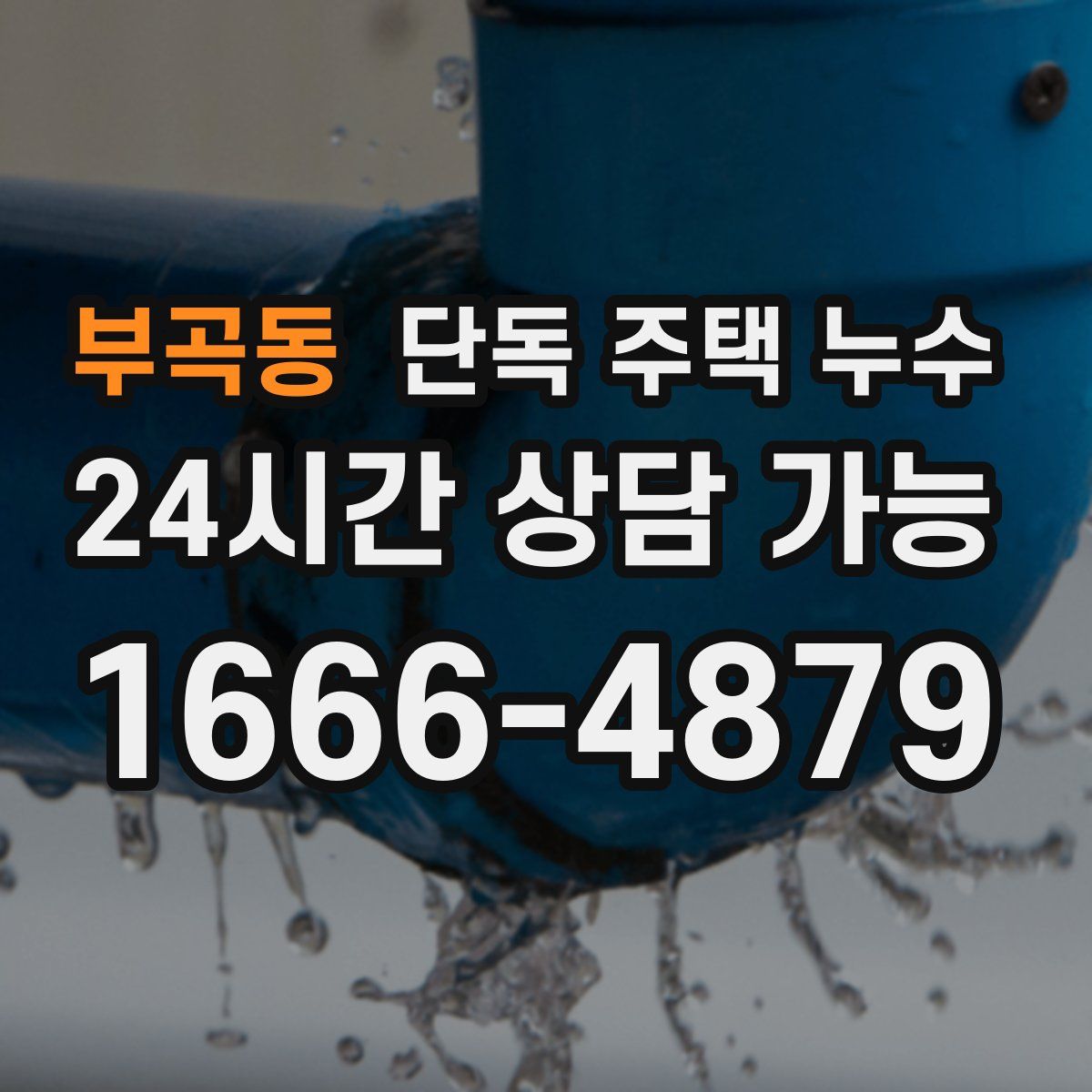 부곡동 단독 주택 누수