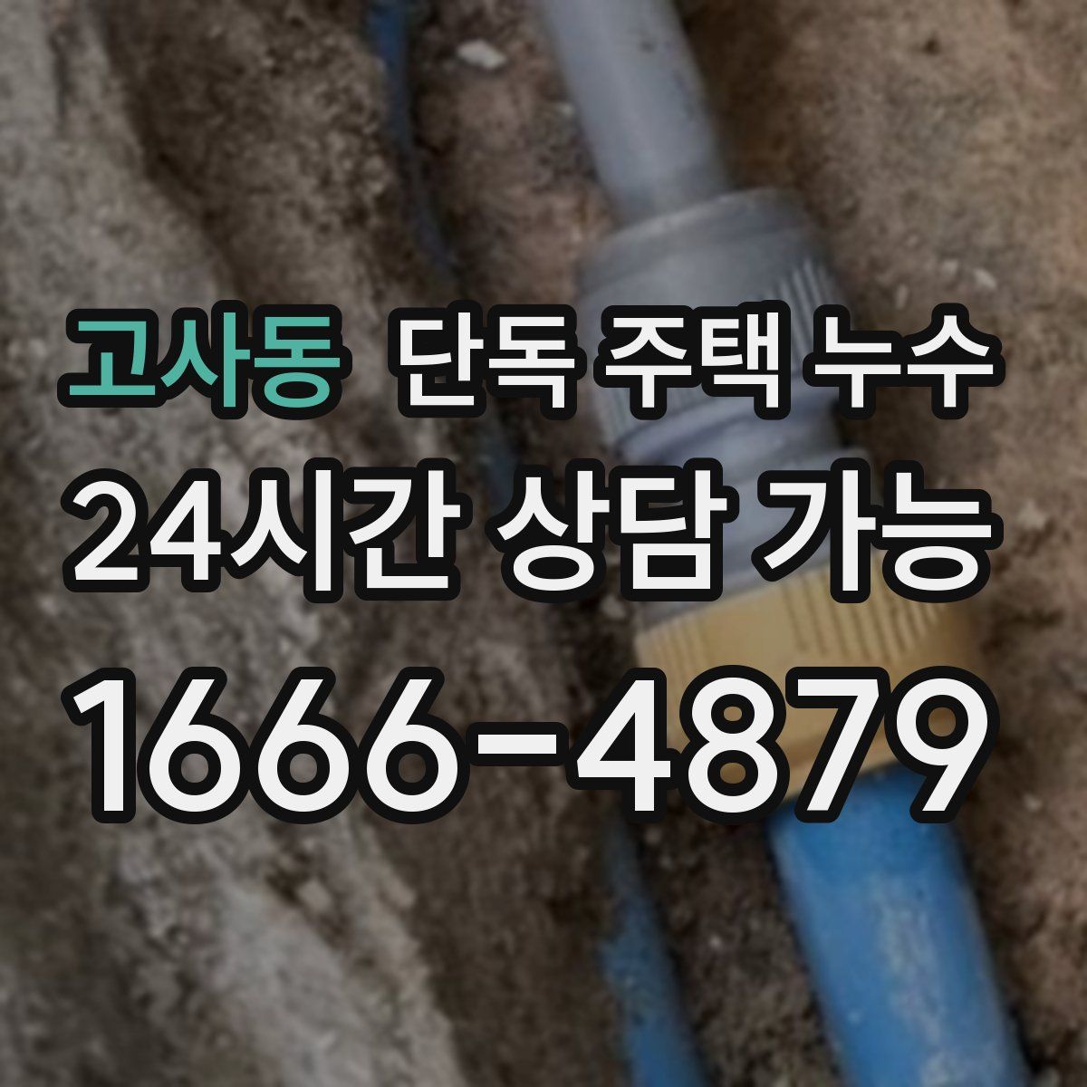 고사동 단독 주택 누수