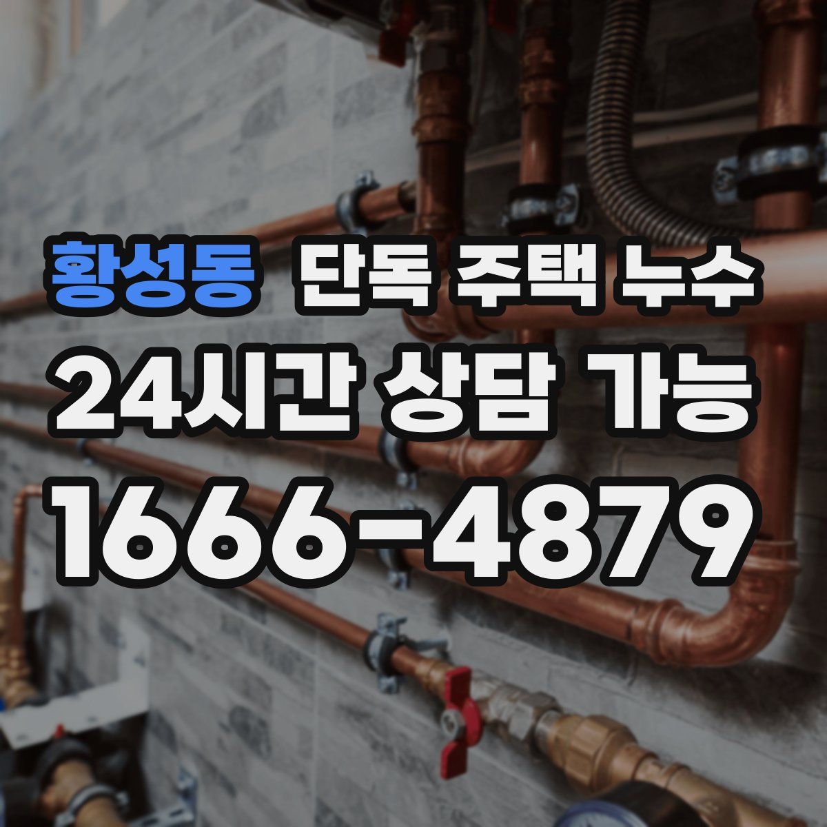 황성동 단독 주택 누수