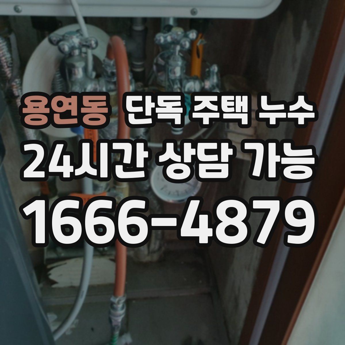 용연동 단독 주택 누수 세탁기 급수호스 연결부 누수 점검