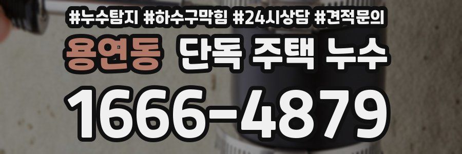 용연동 단독 주택 누수