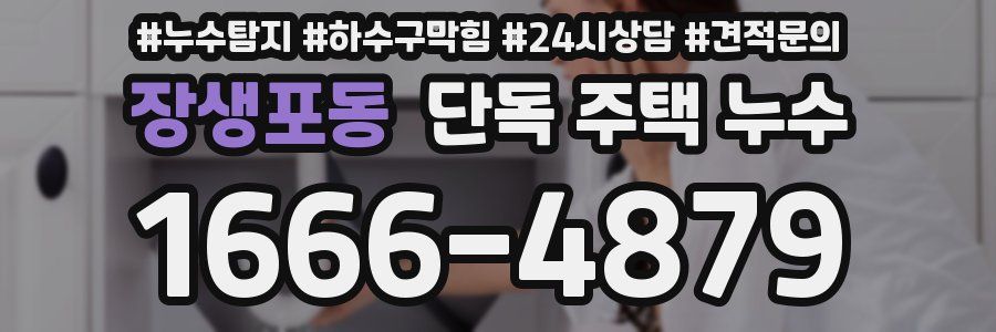 장생포동 단독 주택 누수