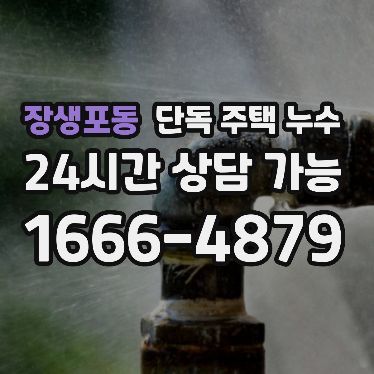 장생포동 단독 주택 누수