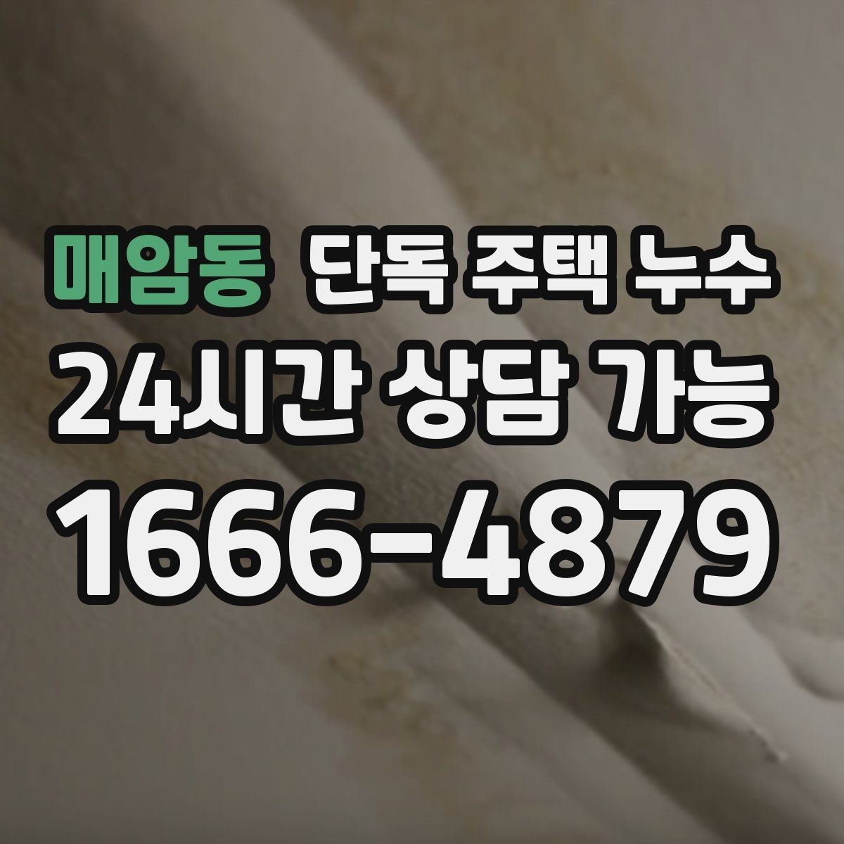 매암동 단독 주택 누수 햇빛이 강한 날에도 벽이 축축한 이유