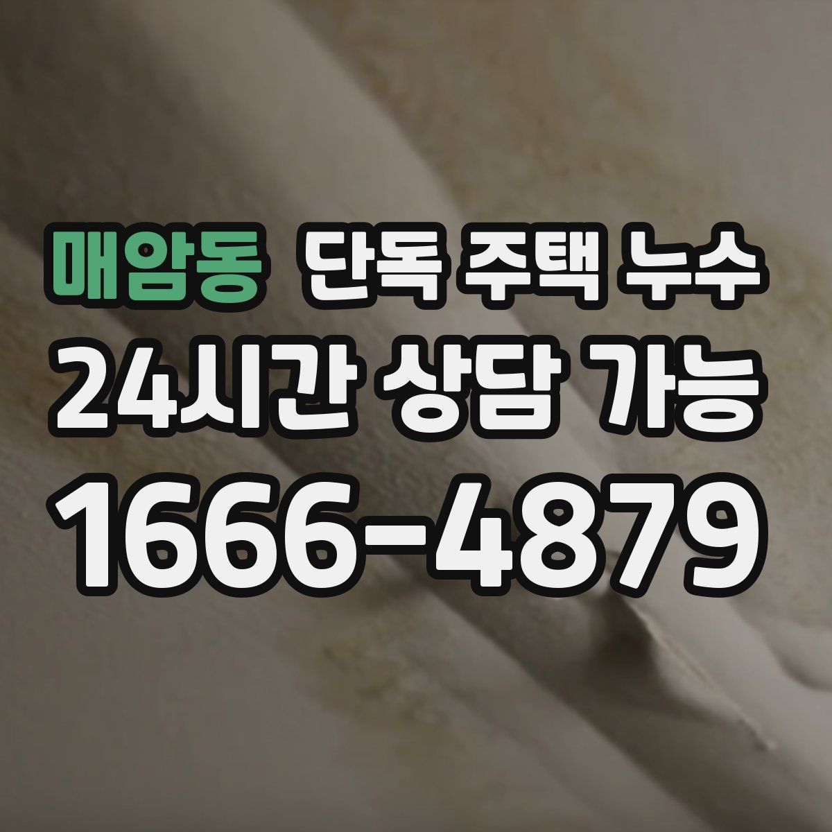 매암동 단독 주택 누수