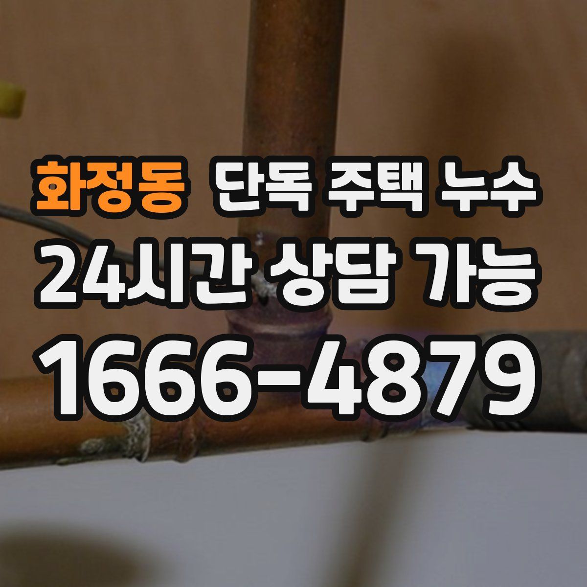 화정동 단독 주택 누수