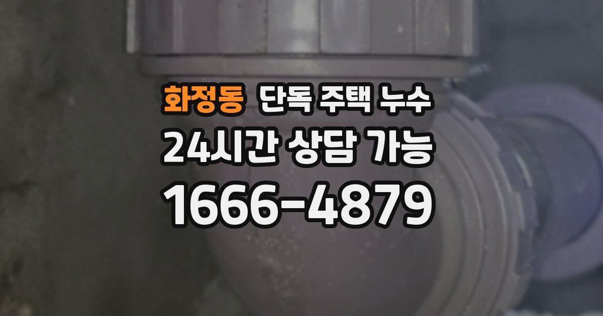 화정동 단독 주택 누수