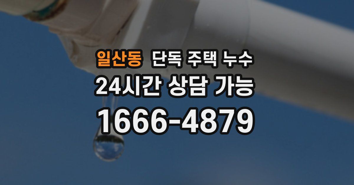 일산동 단독 주택 누수