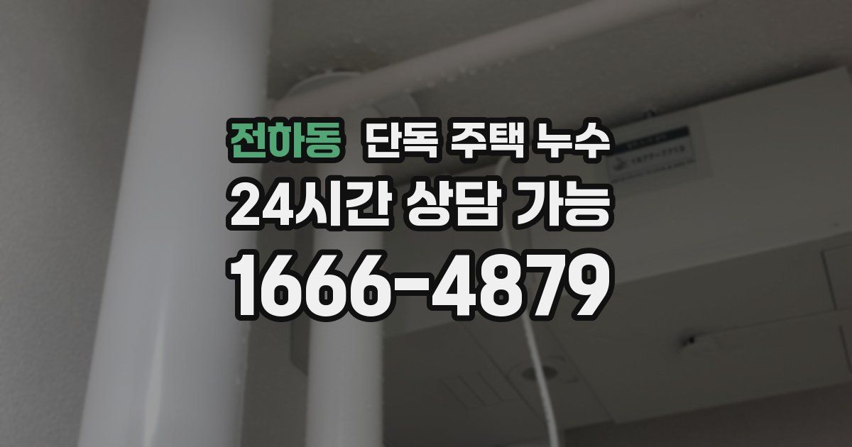 전하동 단독 주택 누수