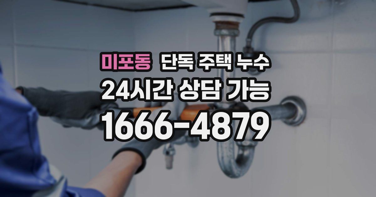 미포동 단독 주택 누수
