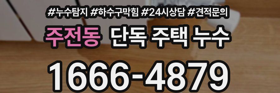 주전동 단독 주택 누수