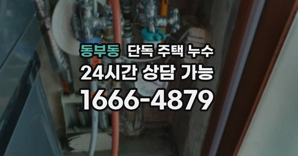 동부동 단독 주택 누수