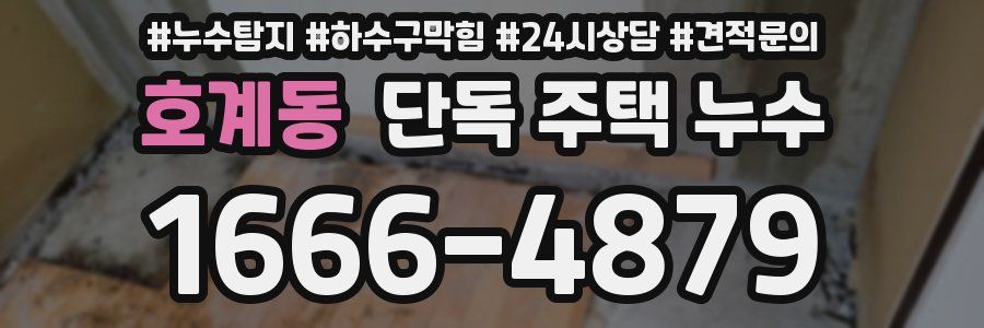 호계동 단독 주택 누수