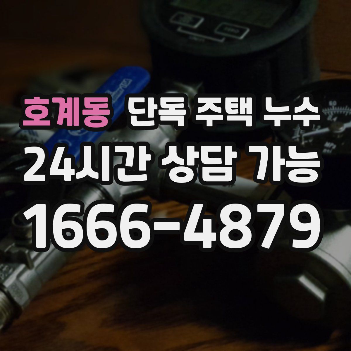 호계동 단독 주택 누수