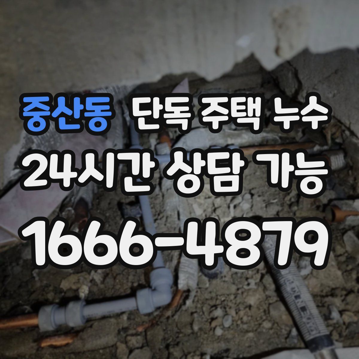 중산동 단독 주택 누수