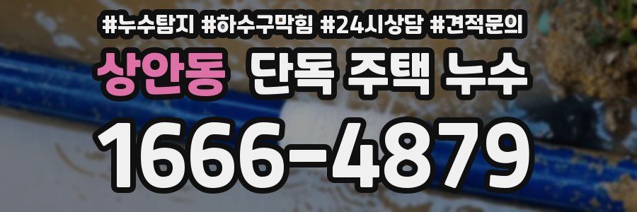 상안동 단독 주택 누수