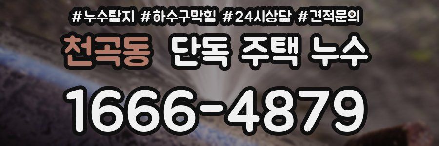 천곡동 단독 주택 누수