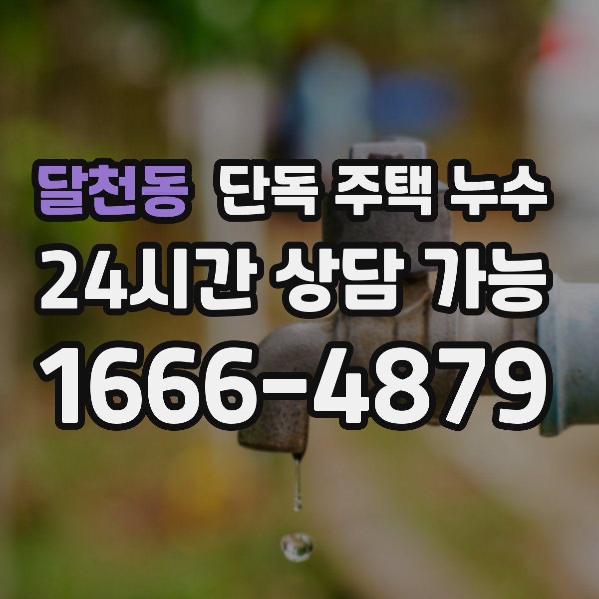 달천동 단독 주택 누수