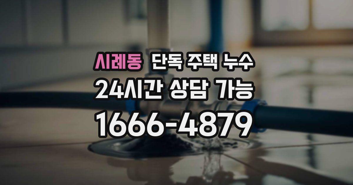 시례동 단독 주택 누수