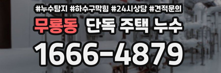 무룡동 단독 주택 누수