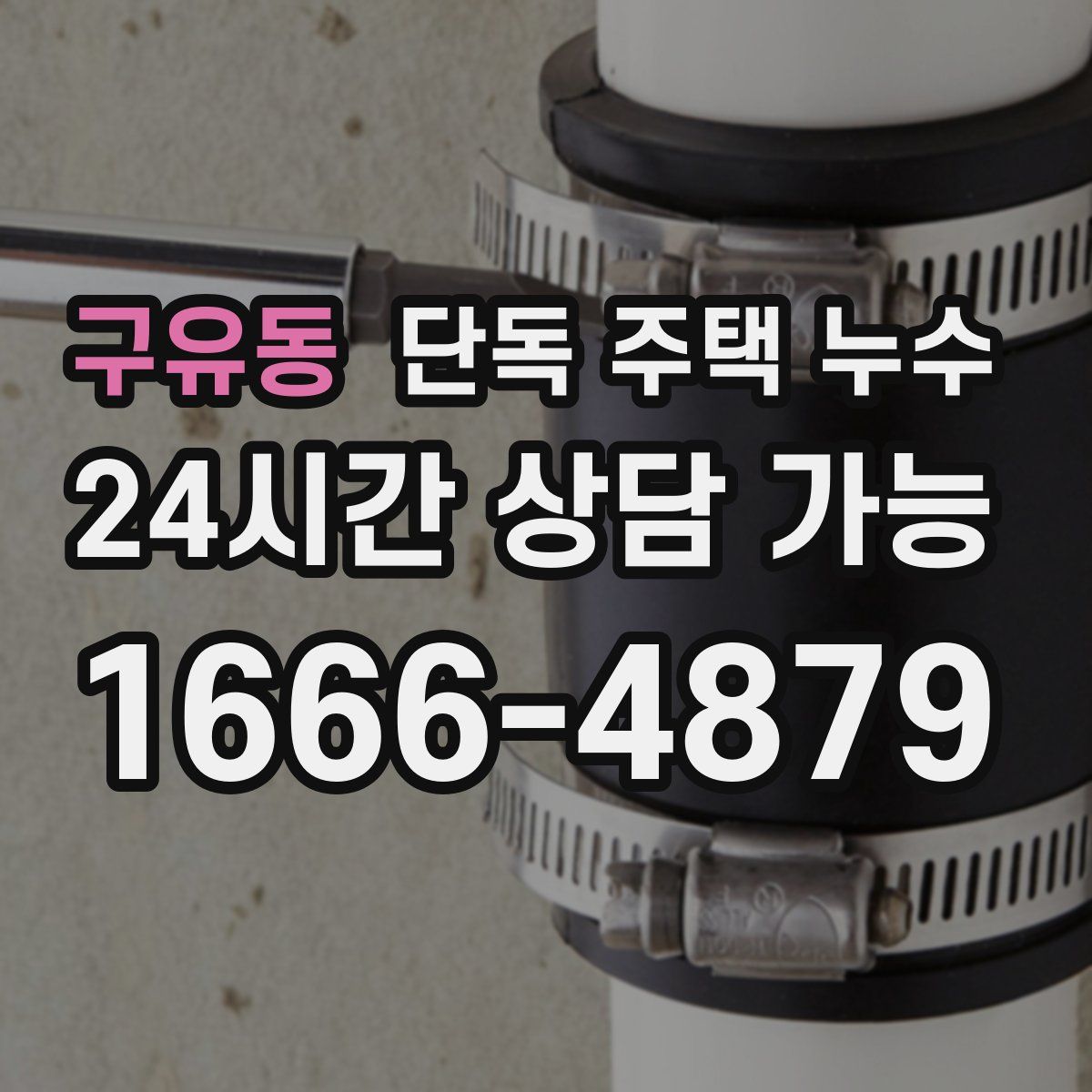 구유동 단독 주택 누수