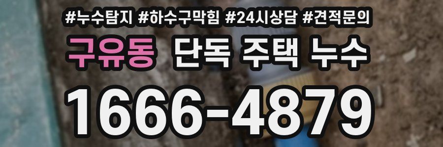 구유동 단독 주택 누수