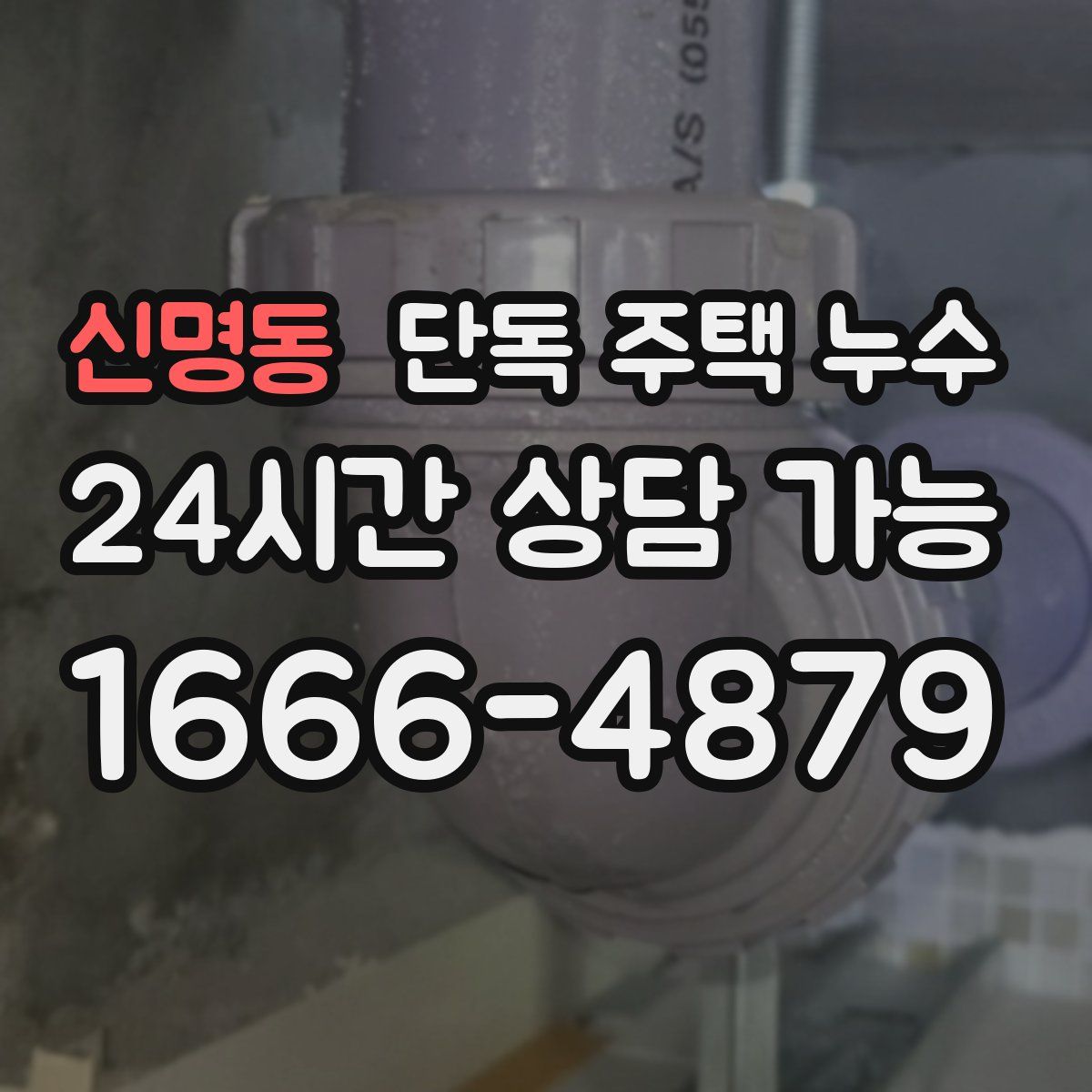 신명동 단독 주택 누수