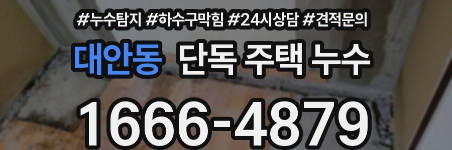 대안동 단독 주택 누수