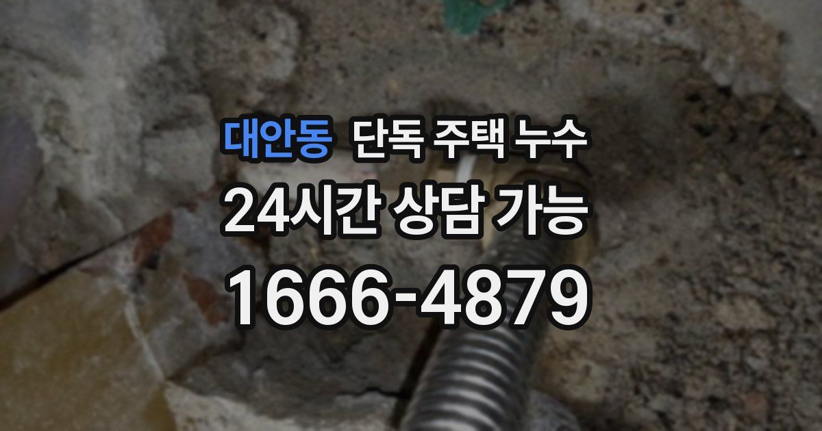 대안동 단독 주택 누수