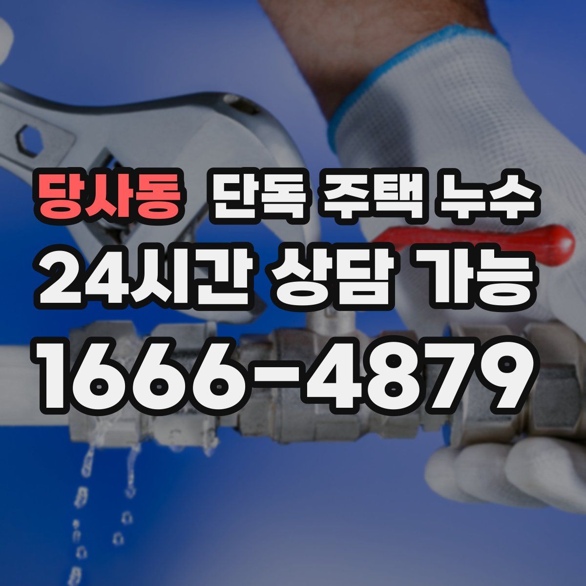 당사동 단독 주택 누수