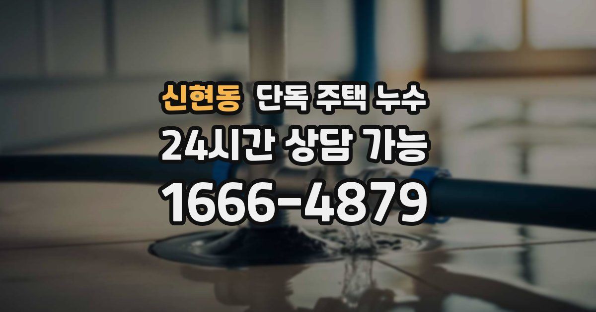 신현동 단독 주택 누수