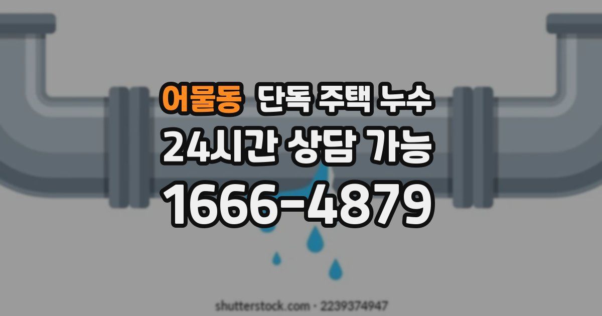 어물동 단독 주택 누수