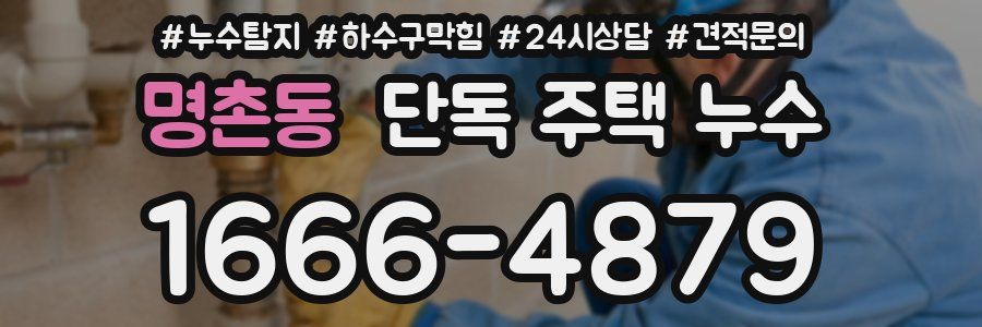 명촌동 단독 주택 누수