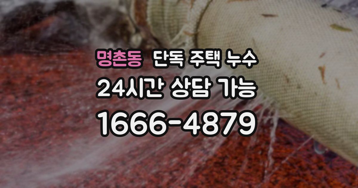 명촌동 단독 주택 누수