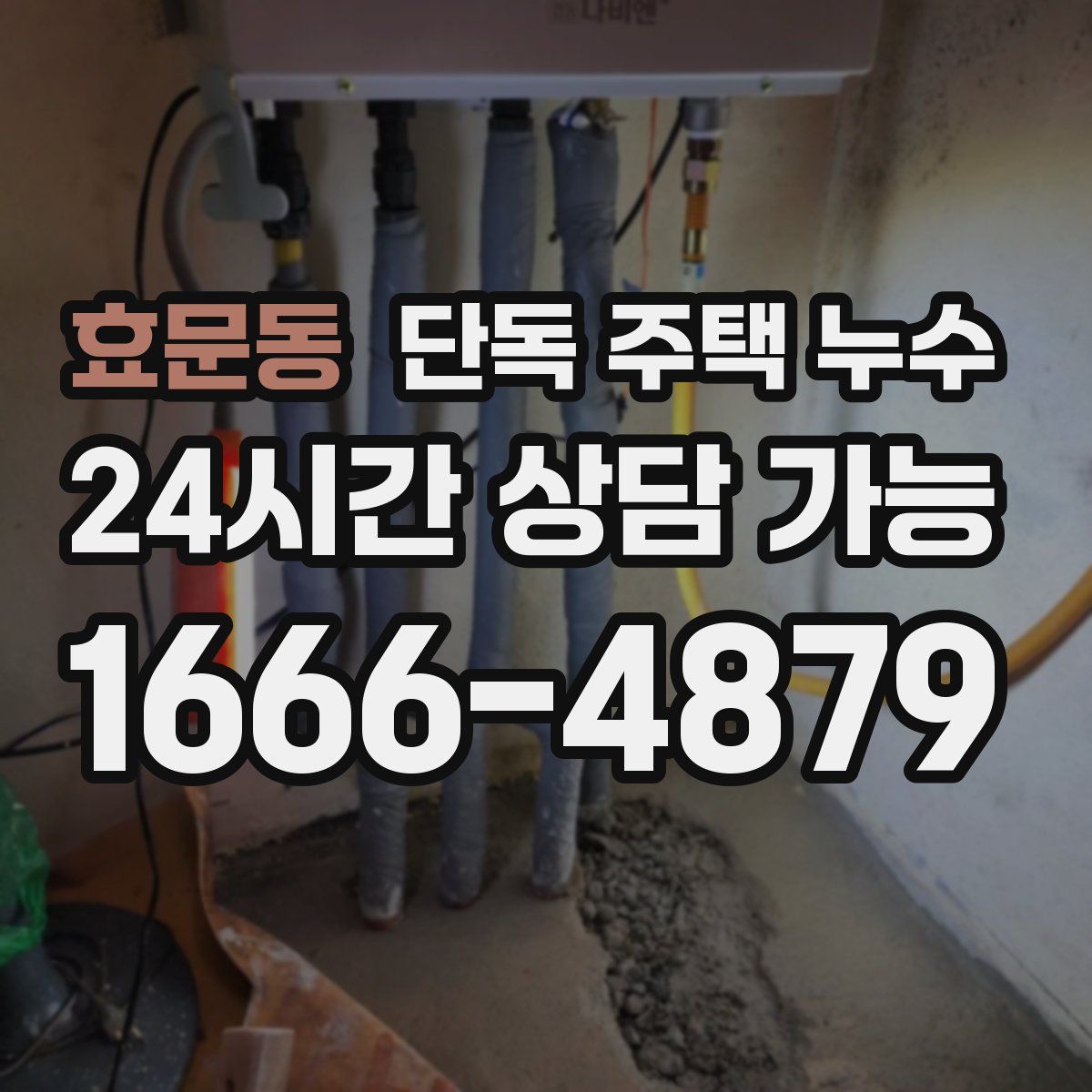 효문동 단독 주택 누수