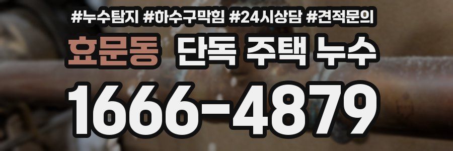 효문동 단독 주택 누수