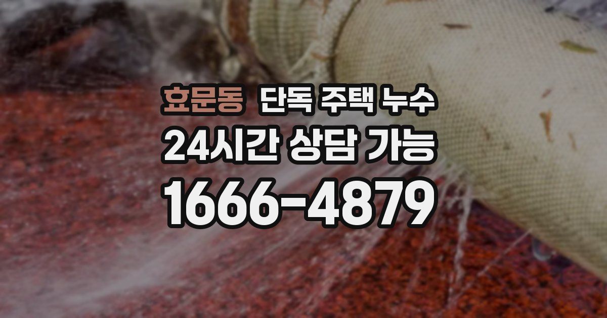 효문동 단독 주택 누수