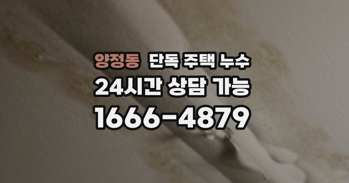 양정동 단독 주택 누수